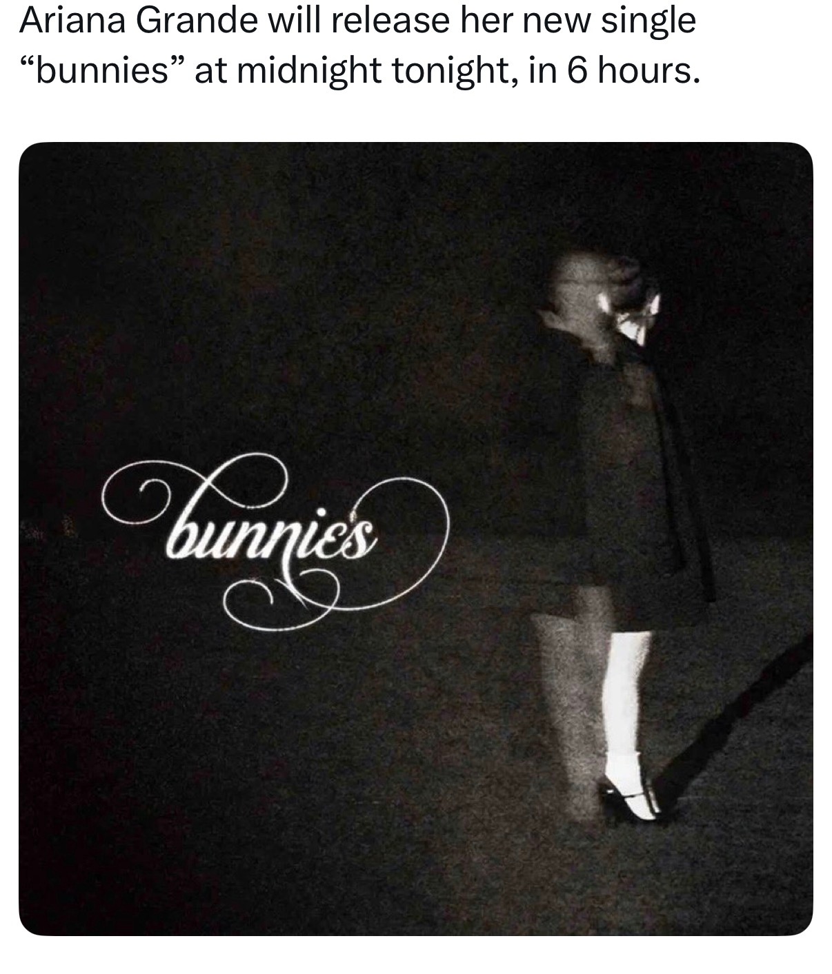 bunnies咱们蹭了个大的了，宣传一下 