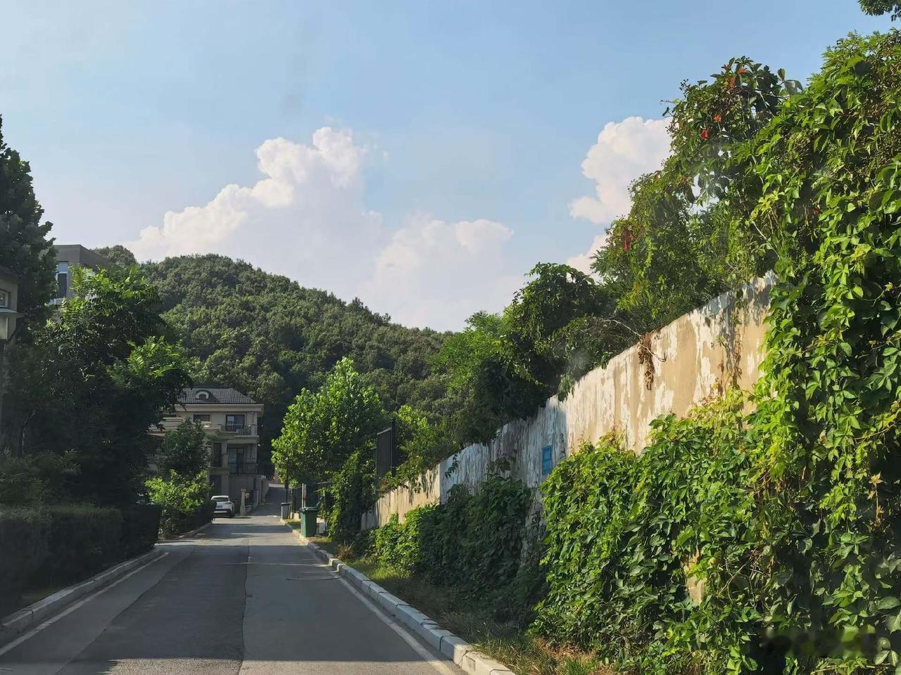 之所以喜欢夏天，就是无论走到哪里，都有好看的风景，哪怕没有花，绿油油的树都能让人