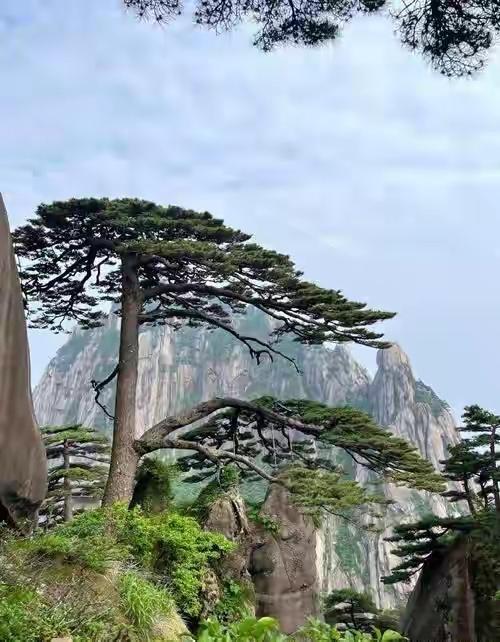 走遍三山五岳，唯有黄山让人游赏不够，每年都去，而且这地方民风淳朴，多年去山村或民