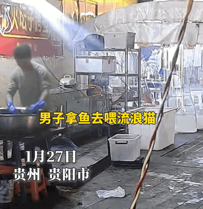 善有善报在这一刻具象化了！