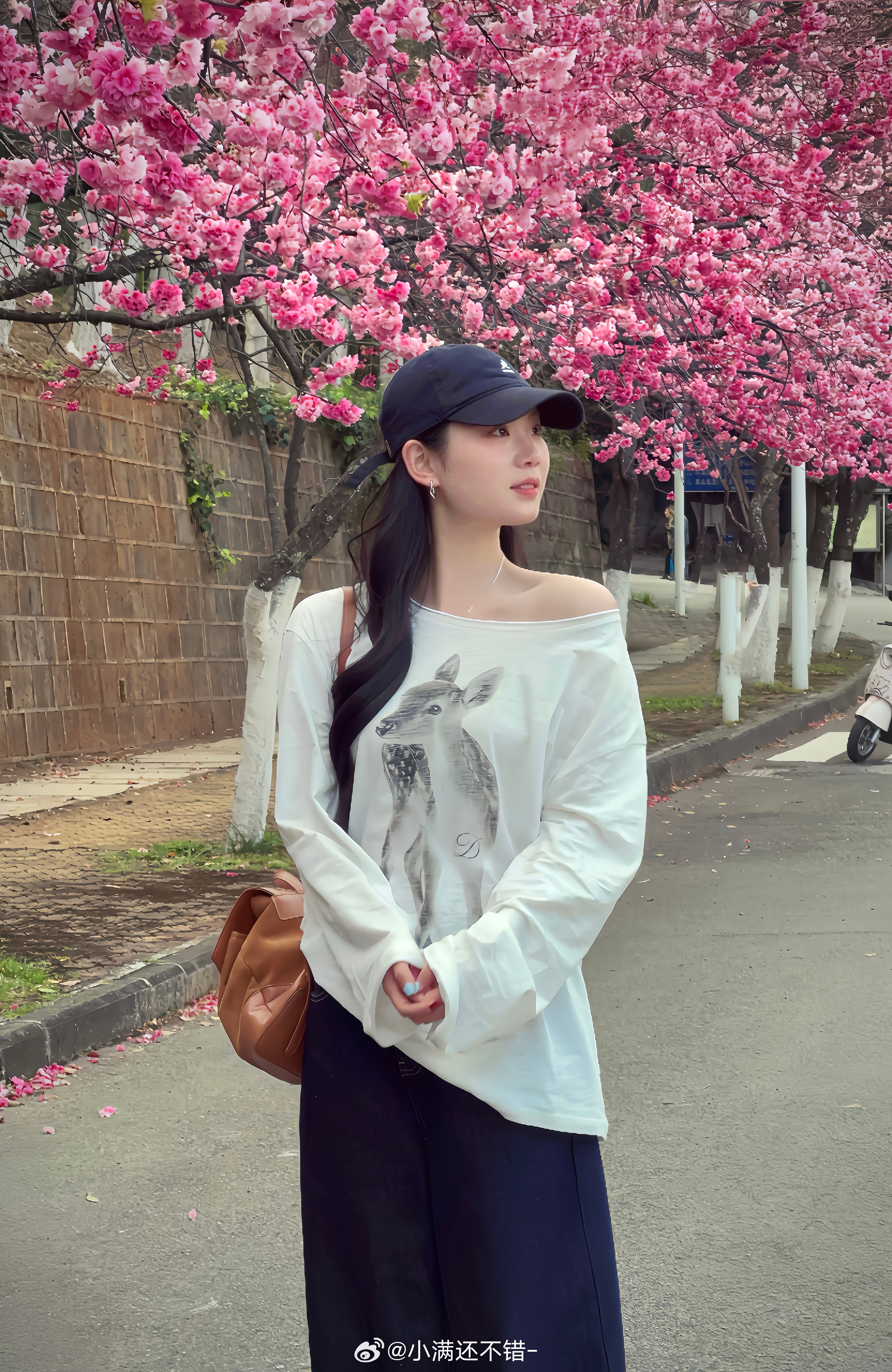 又一年樱花盛开🌸  ​​​