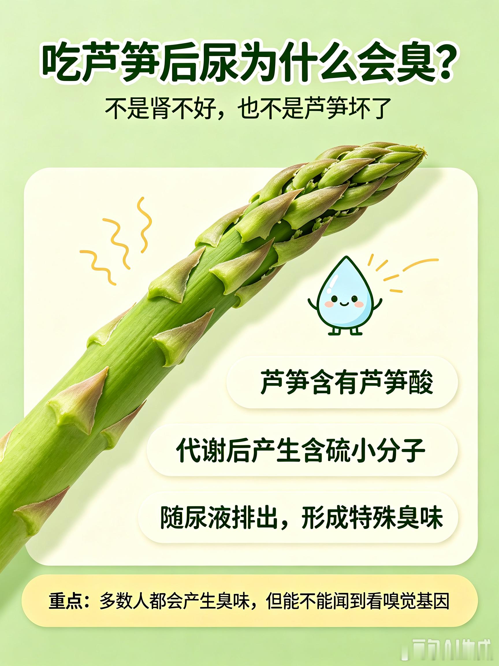 孩子今天尿尿其臭无比，给我急得呀，一通瞎想，关键他爸说不会臭，一查才知道是吃了芦