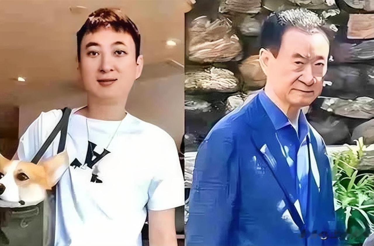 王思聪卸任万达产业投资董事，这事说大不大，说小也不小。

这家公司注册资本1个亿