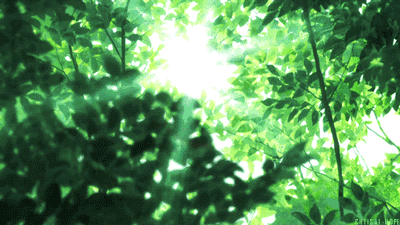 【07.23修身心语】
您好！
一个人的衰老，是不再用心去经历、去感悟这个美丽的