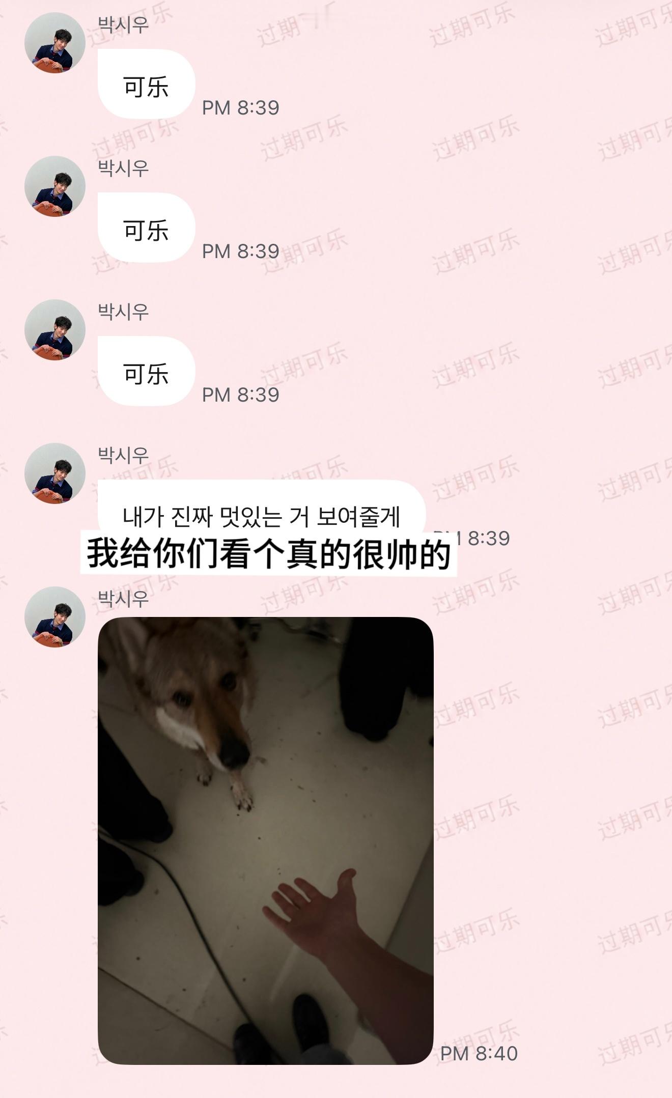 叫我这么多声原来是见到了捷克狼犬🫪看给我们小时宇激动的吧ㅋㅋㅋ（*虽然这也是我
