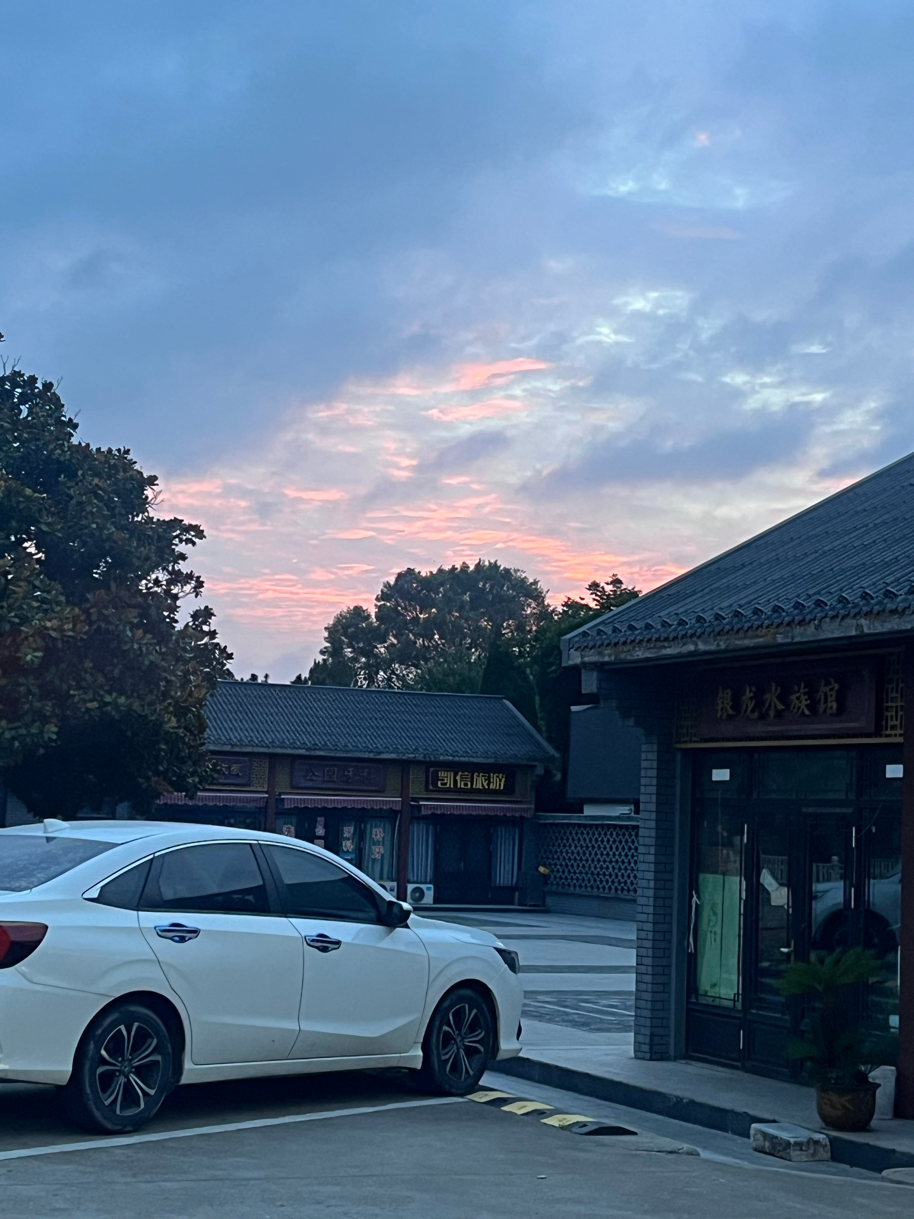 张极  🧡张极05后第一男歌手 🧡张极一路向海的少年 0000生活需要微笑，
