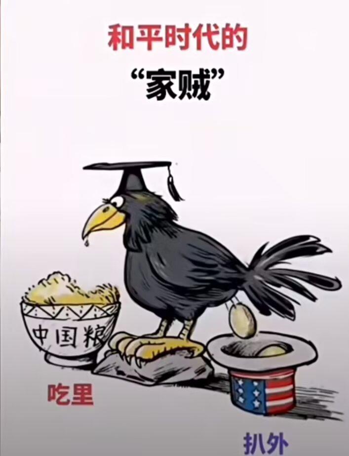 一位偷渡者在直播间里说：“美国真是坏透了，在国内我每天工作10-12个小时，每周