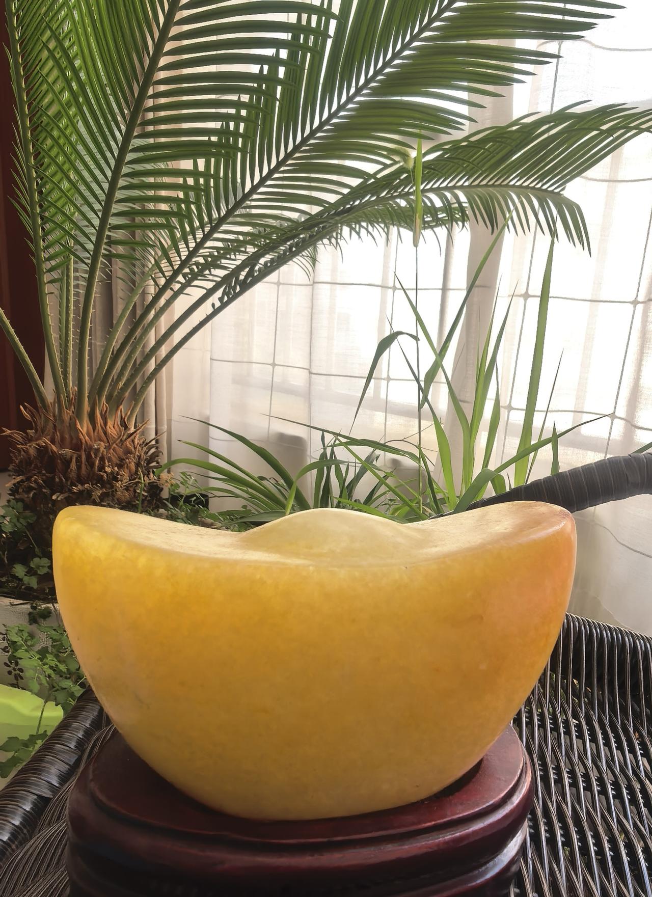 各位今日头条平台的朋友，从今天起，我将不定期在本平台展示个人收藏的奇石系列，重点