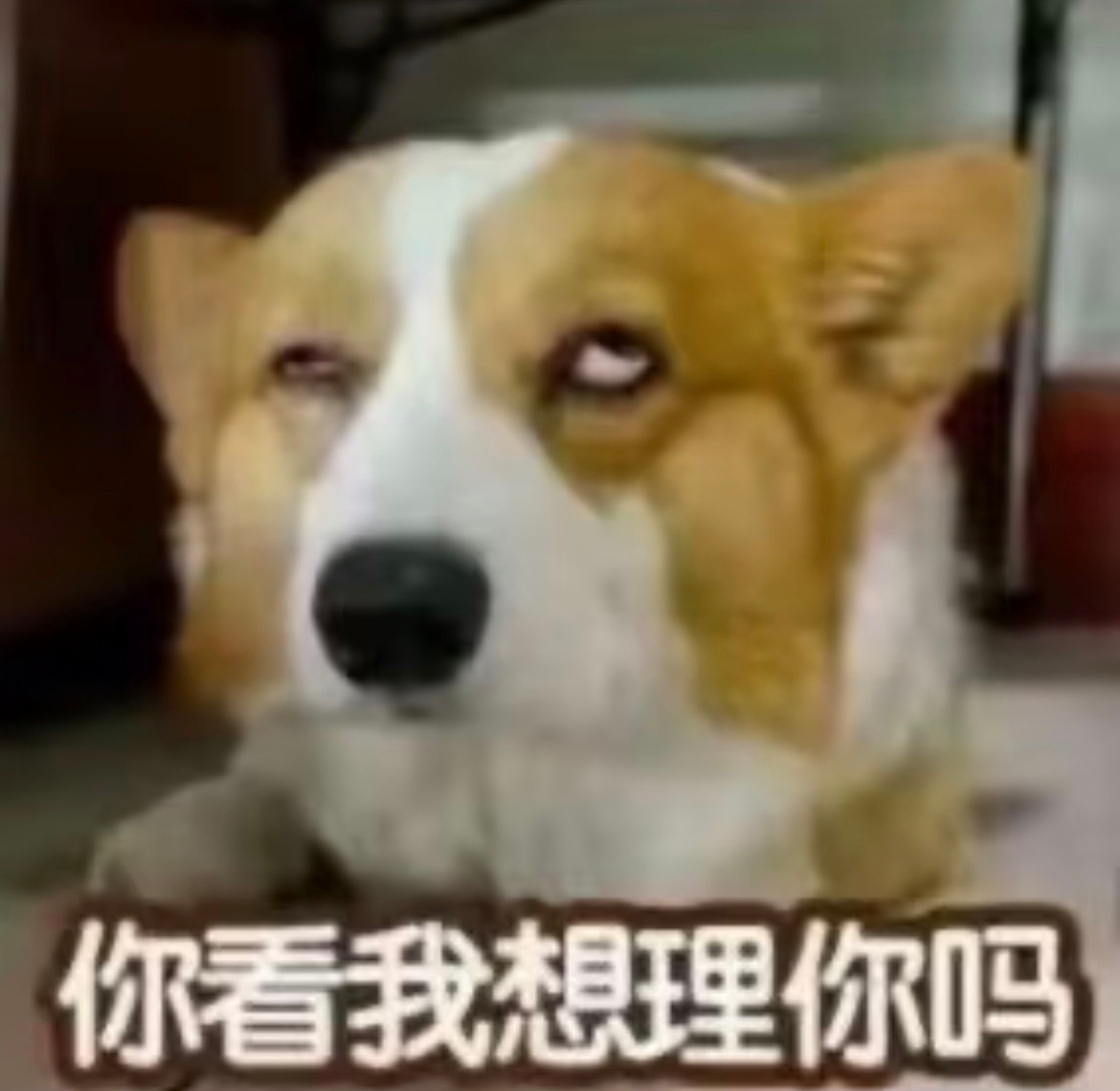 我对某些心情 
