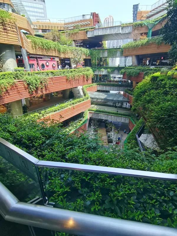 商场花园打卡真的太绝了！上次去了一家商场的空中花园，一进去就像进入了童话世界。里