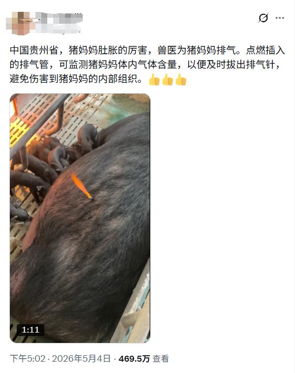 这个视频最好不要被BBC看到
要是被它们看到，
又得拍纪录片阴阳我们了！

毕竟