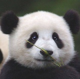 三福爱逛体育