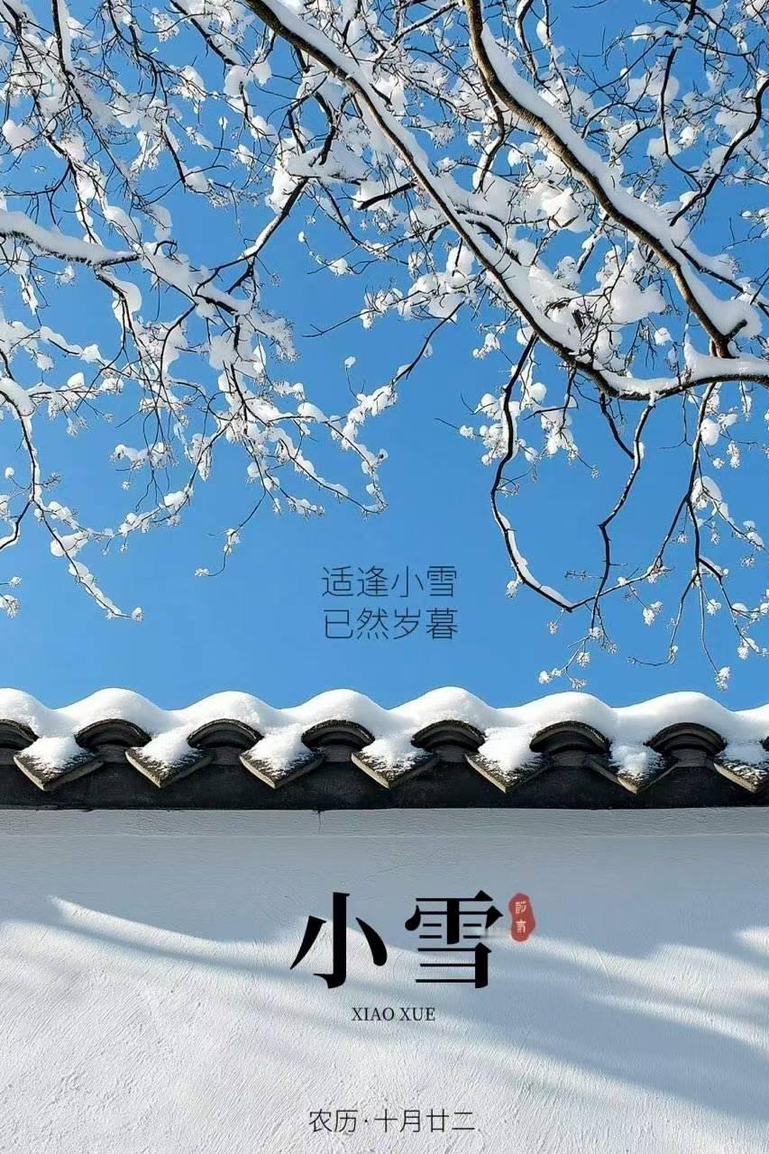 小雪，冬天真的来了！