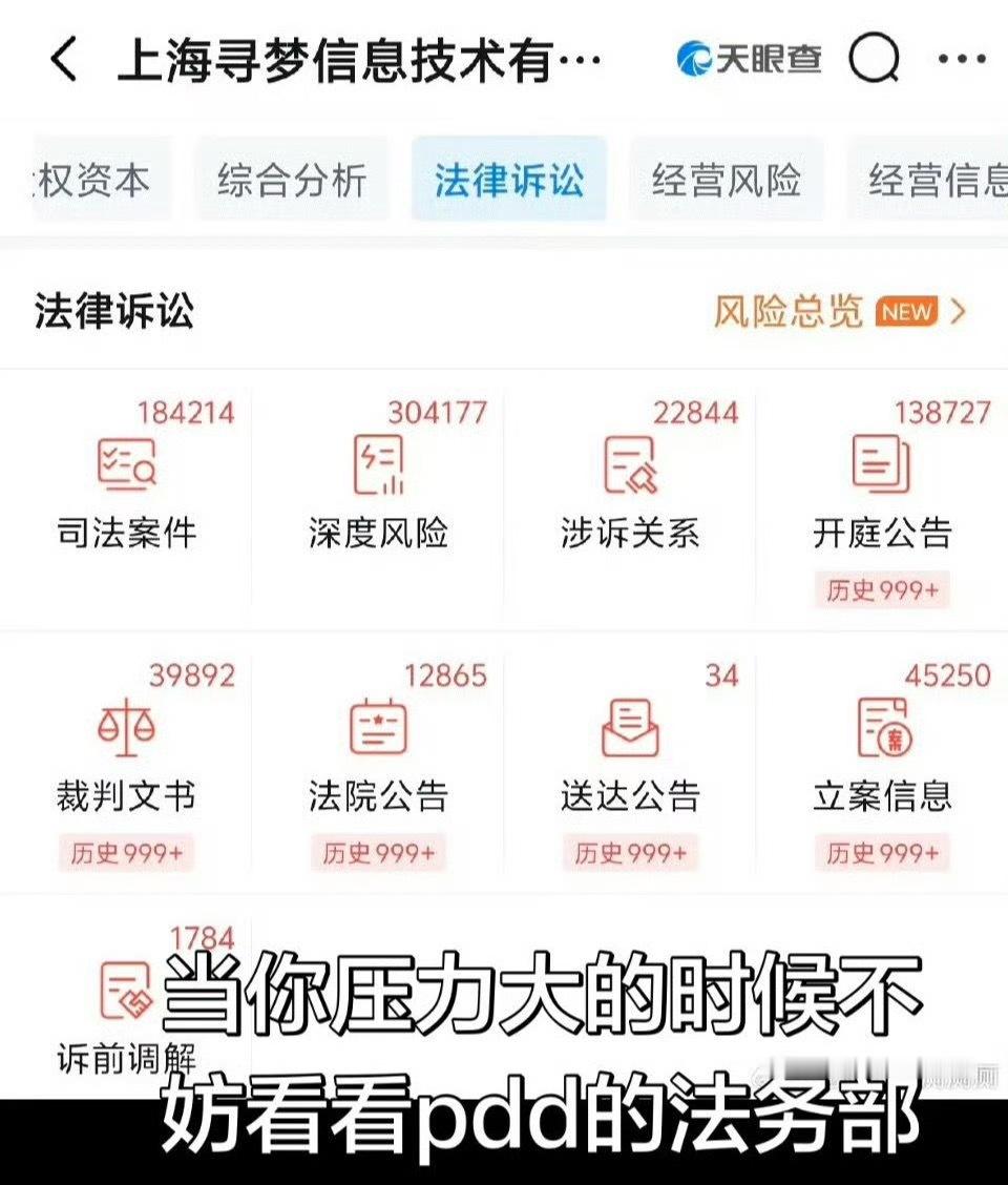 看了这个不由的佩服 pdd 了，谁能顶住这么大压力和负面，pdd 啦，心疼 pd