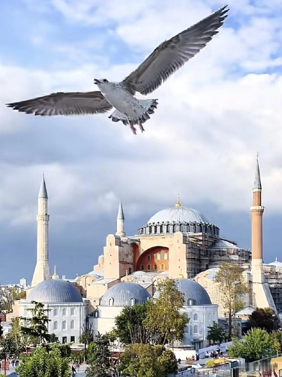 越南会成为下一个“脱亚入欧”的国家吗？亚洲都有哪些国家“脱亚入欧”

近日，越南