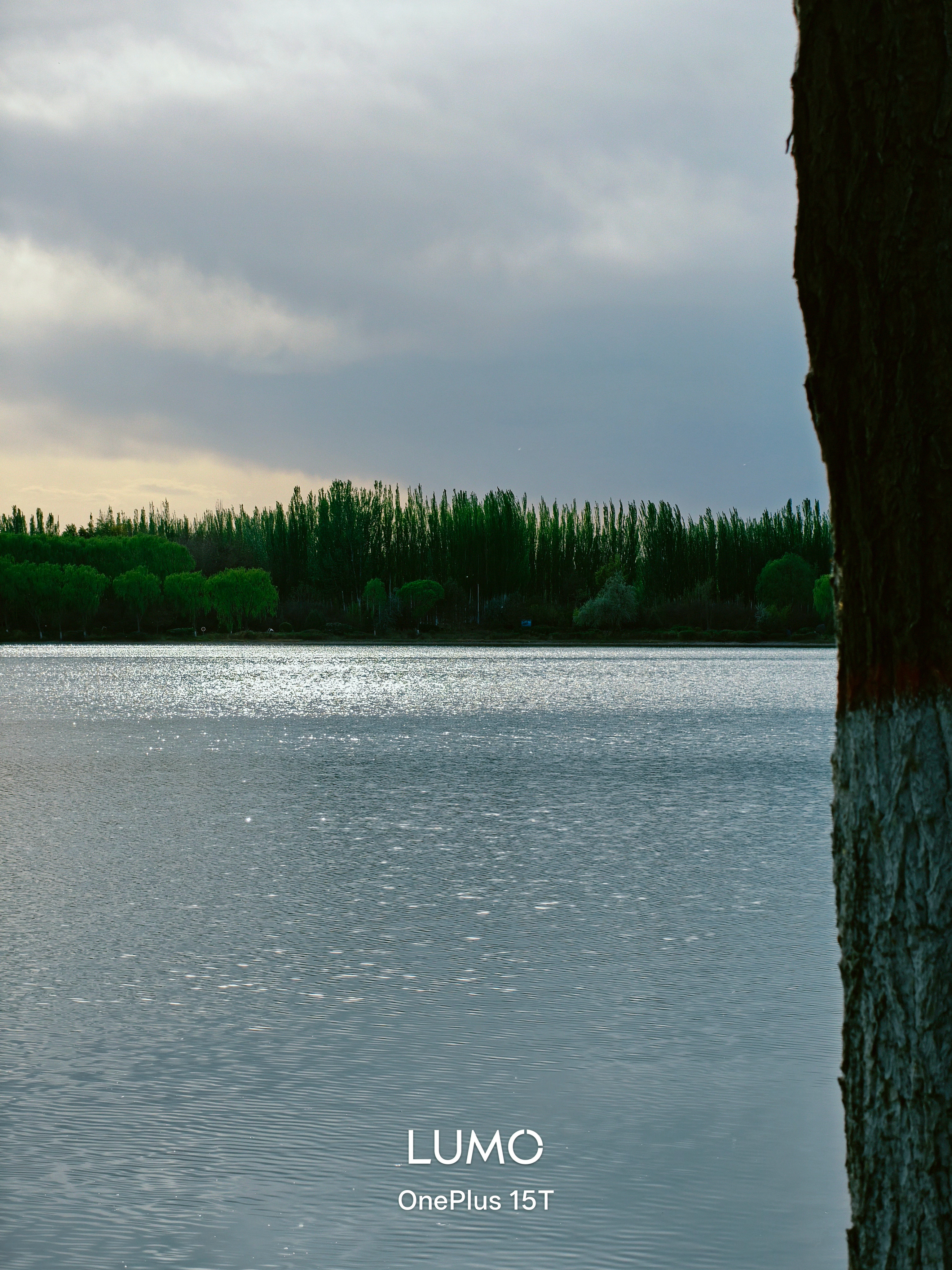 早上好🌞     榴莲已经20多元一斤了 张掖