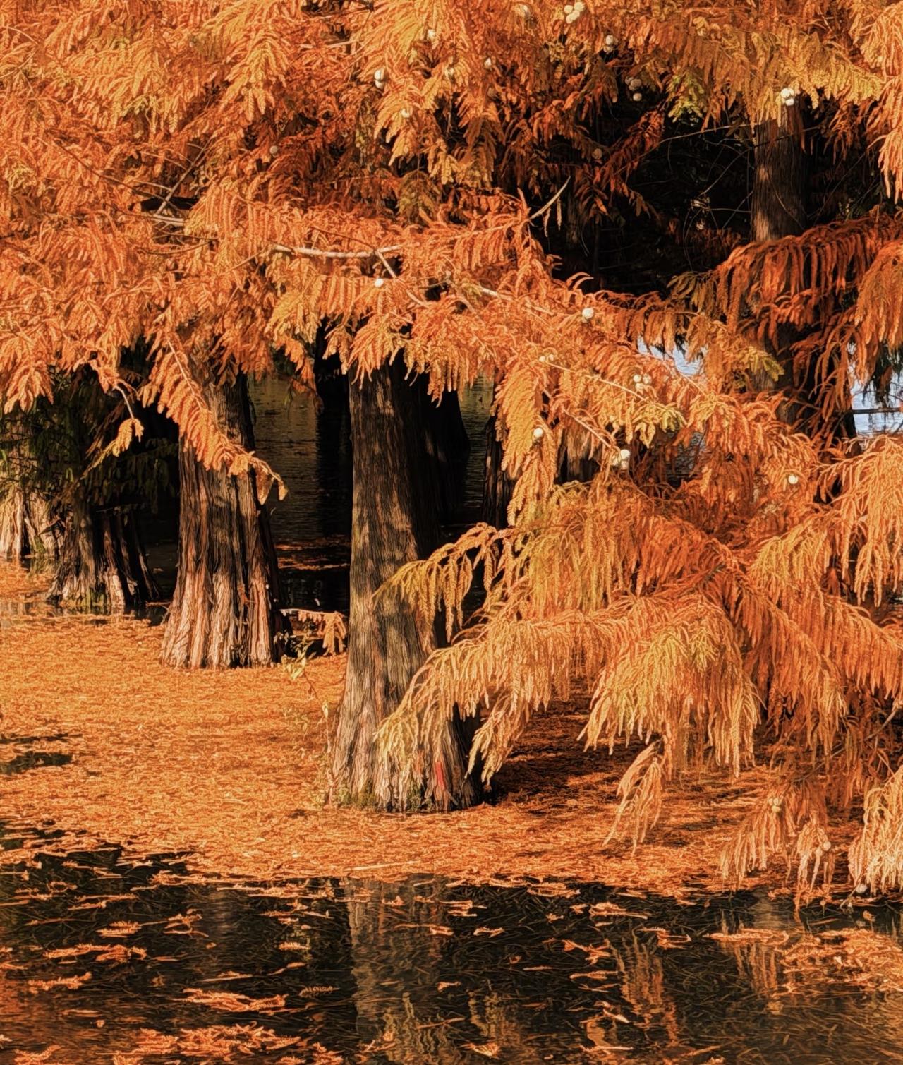 人生不过两句话之间

生命这本书，翻开和合上竟是同一页。

产房里那句“家属可以