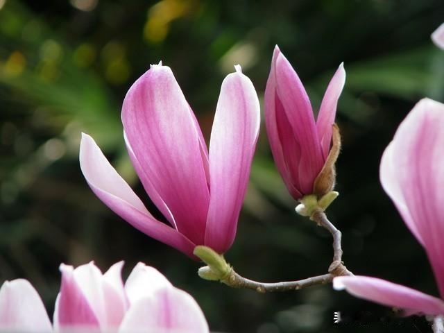 褪去浮躁纷扰，
简单方得长久安。