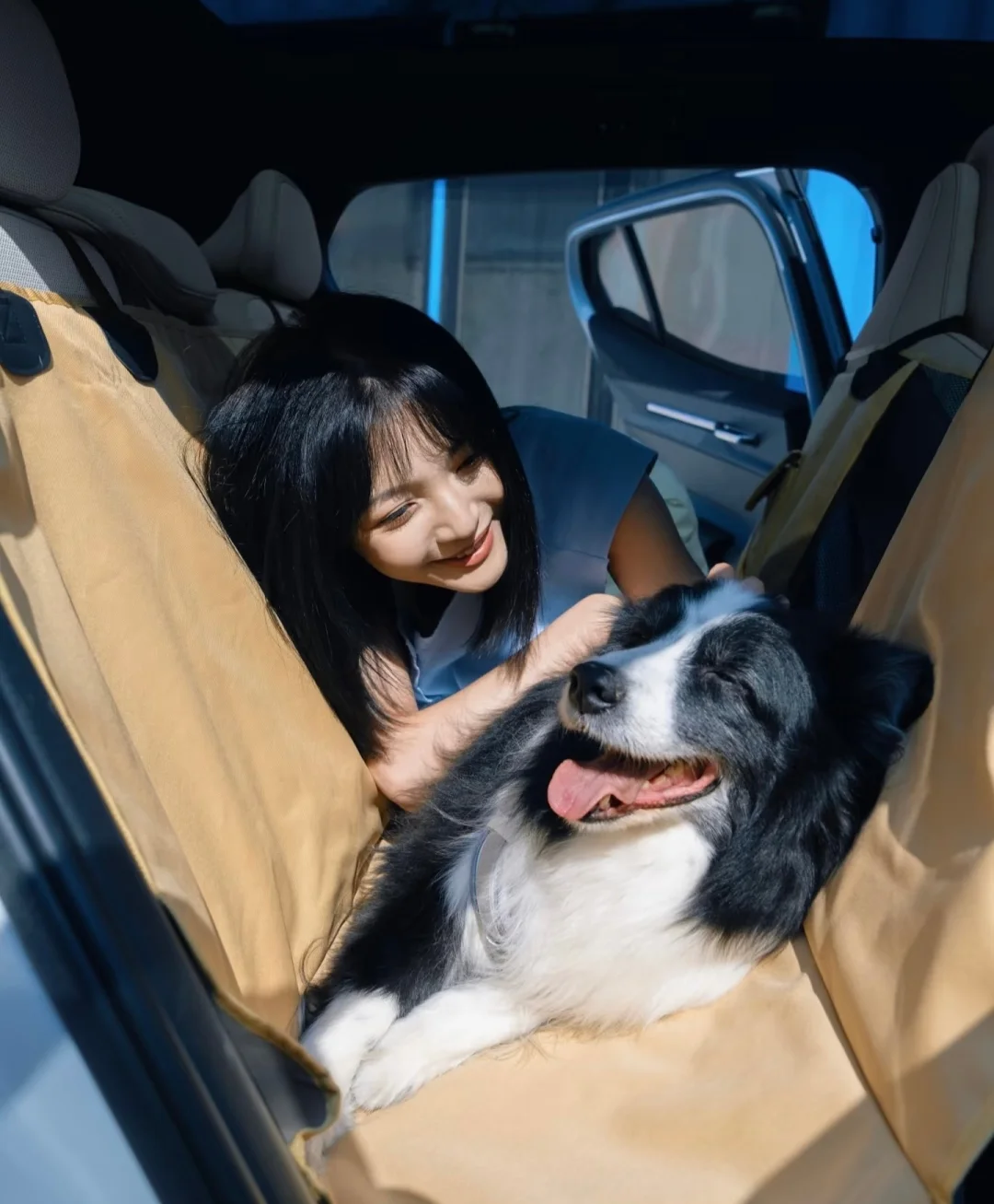 养宠人狂喜！沃尔沃EX30太懂毛孩子了🐾