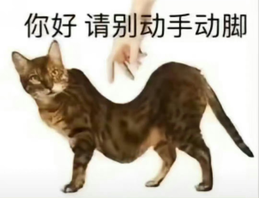 不会再看任何一则repo，你们说错or多说一个字我都会很伤心 