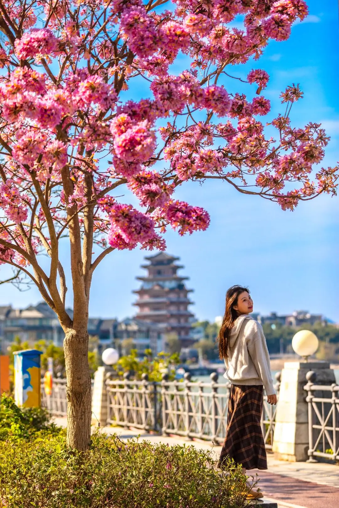 过年带父母逛逛淡季的惠州 真的太惬意了✨