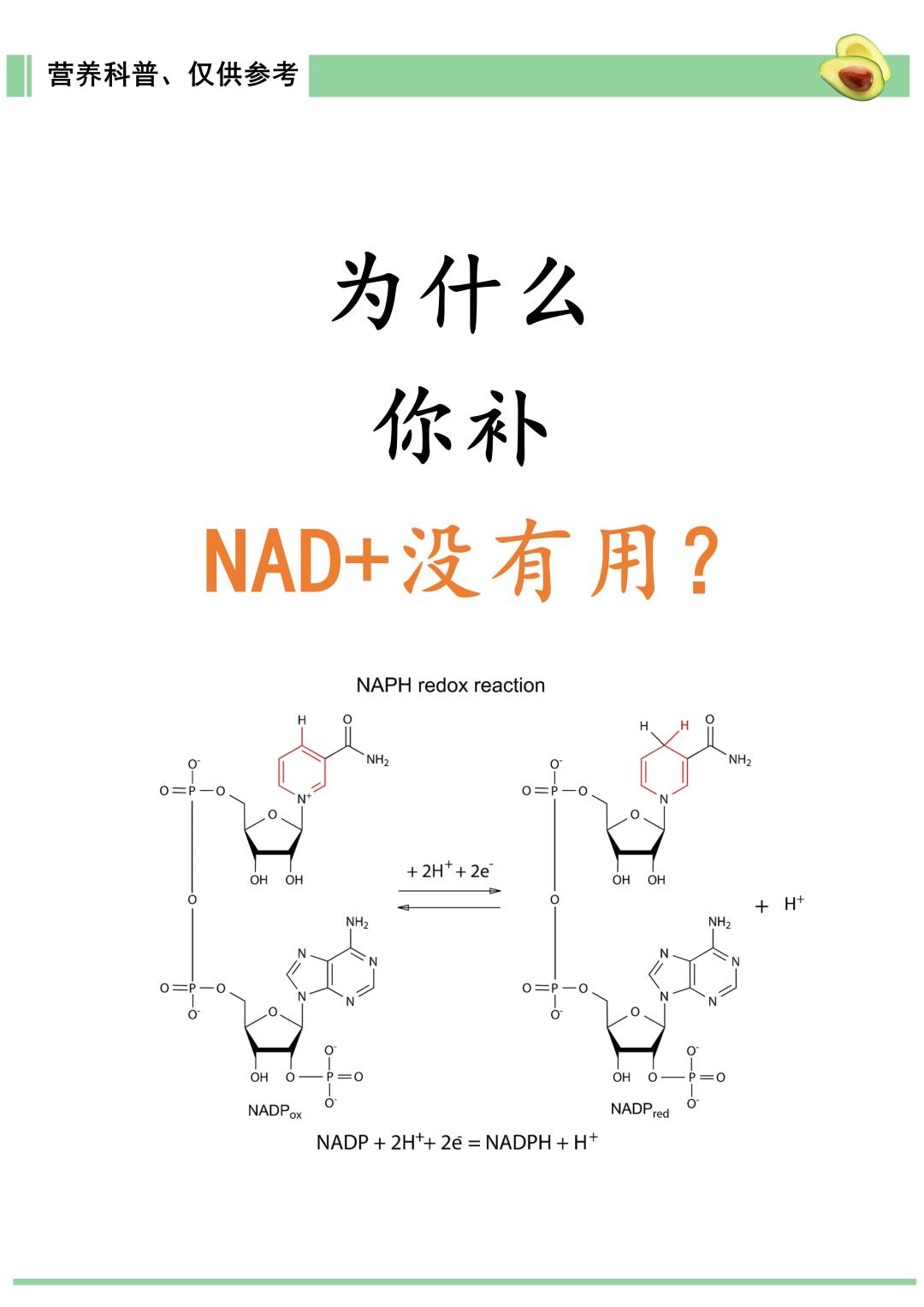 为什么你补NAD+没有用？