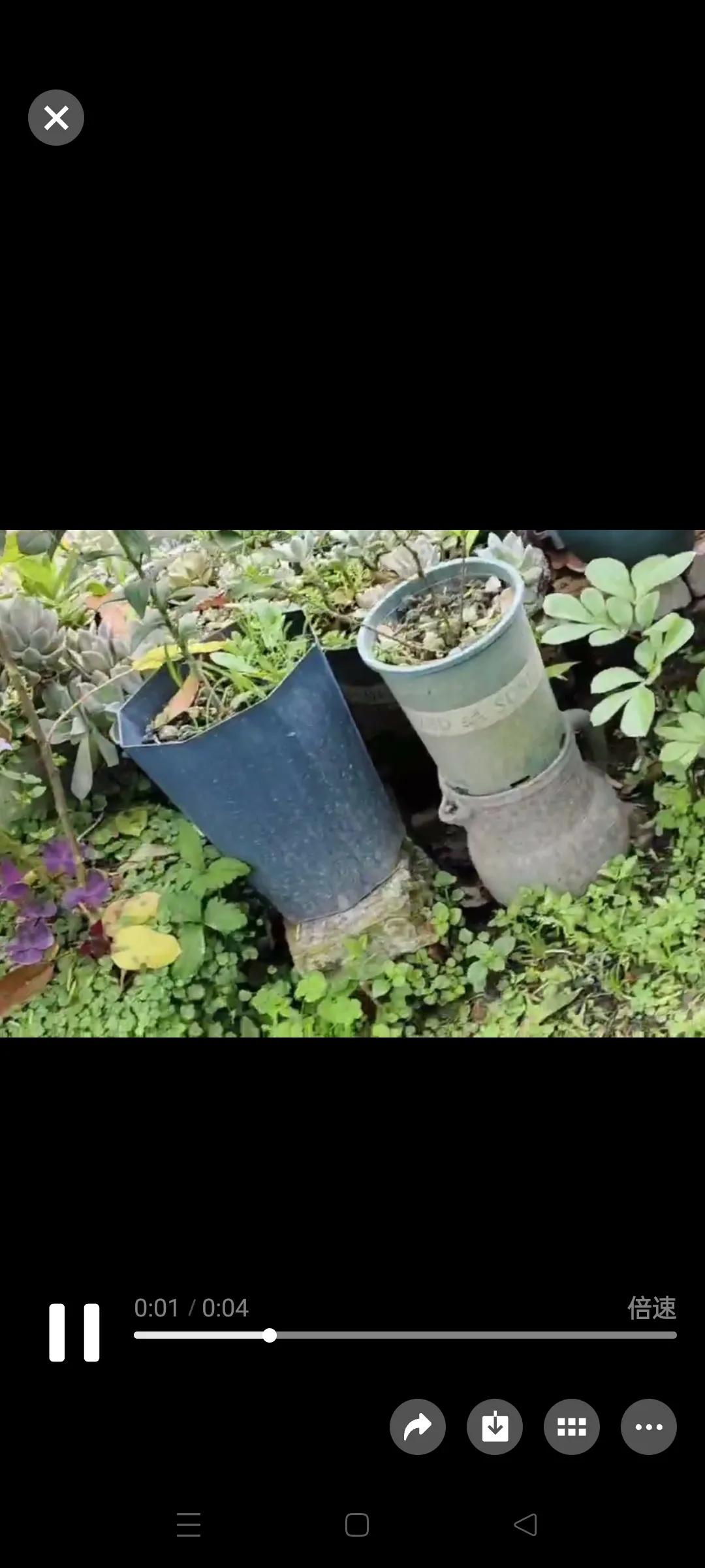 感觉越来越热了，小的时候没有空调都能度过，为什么现在受不了？