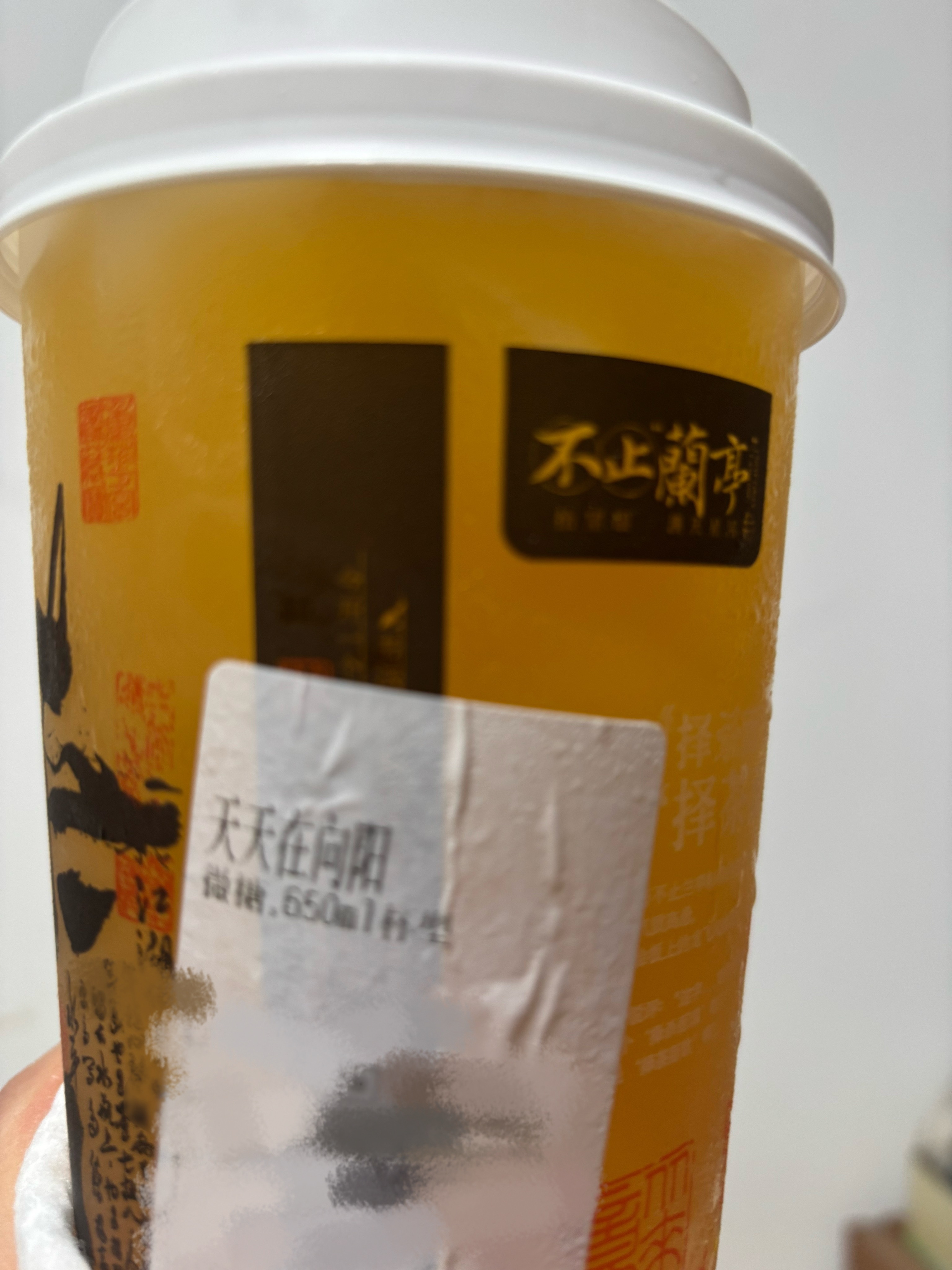 我真的很爱这个天天在向阳
