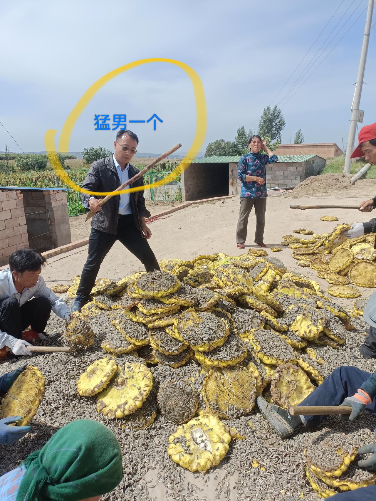 驻村干部走访三类户，了解村民近期秋收情况，帮助村民打葵花，个个干劲十足。