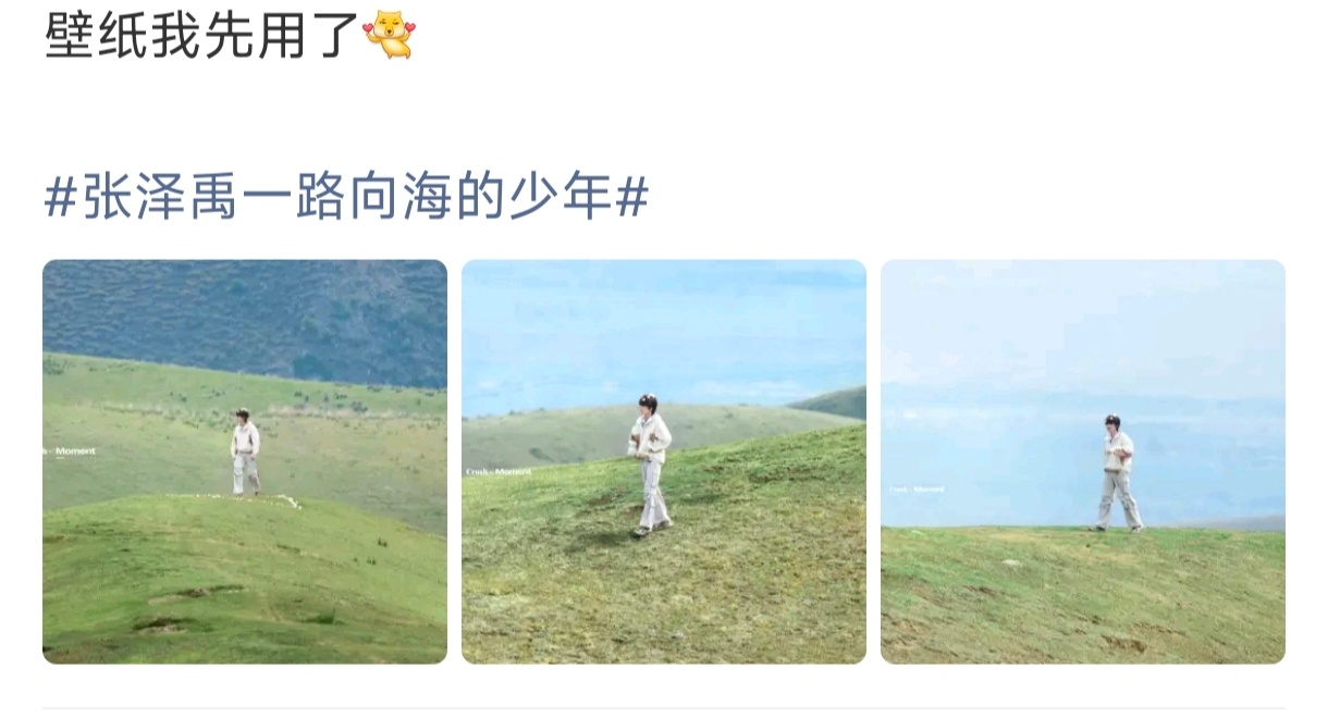 张泽禹对我屏保出手了张泽禹旷野治愈写真一路向海奔赴旷野的少年太动人，张泽禹这组写