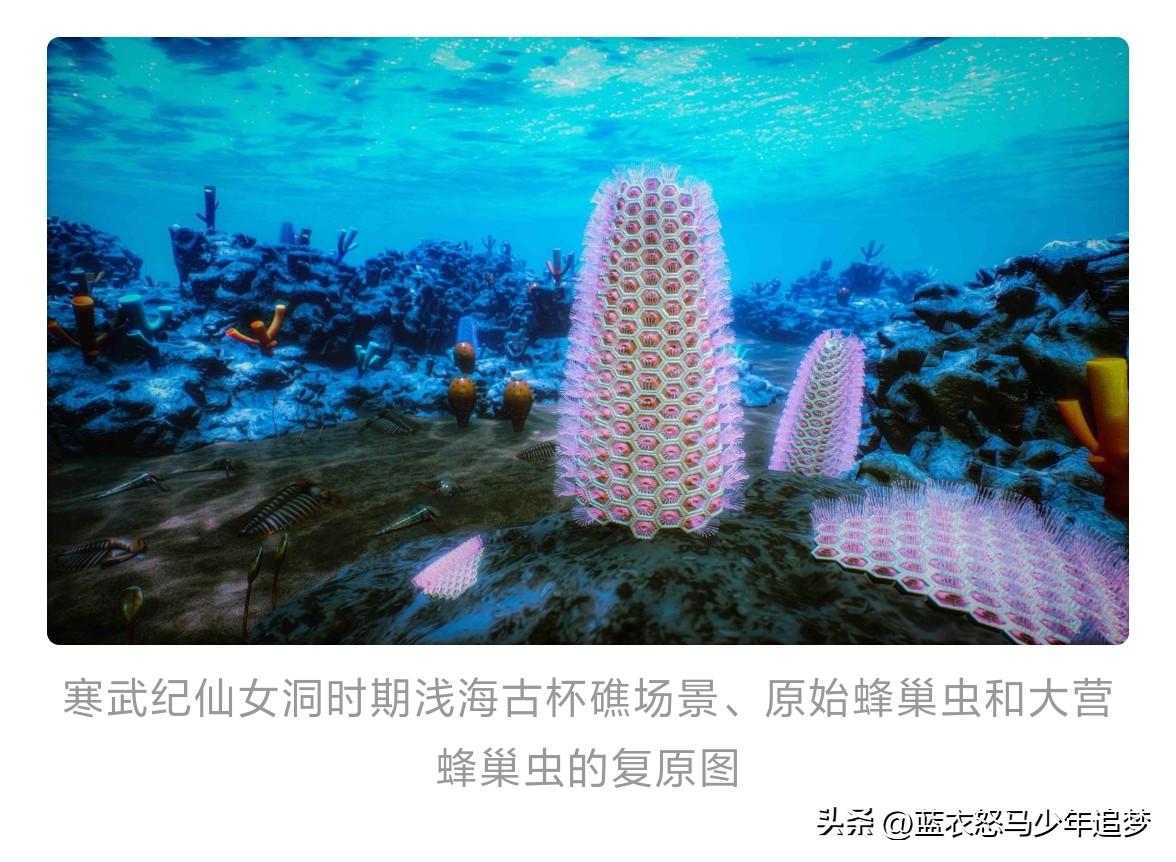 王佳玥 图/受访单位供图）