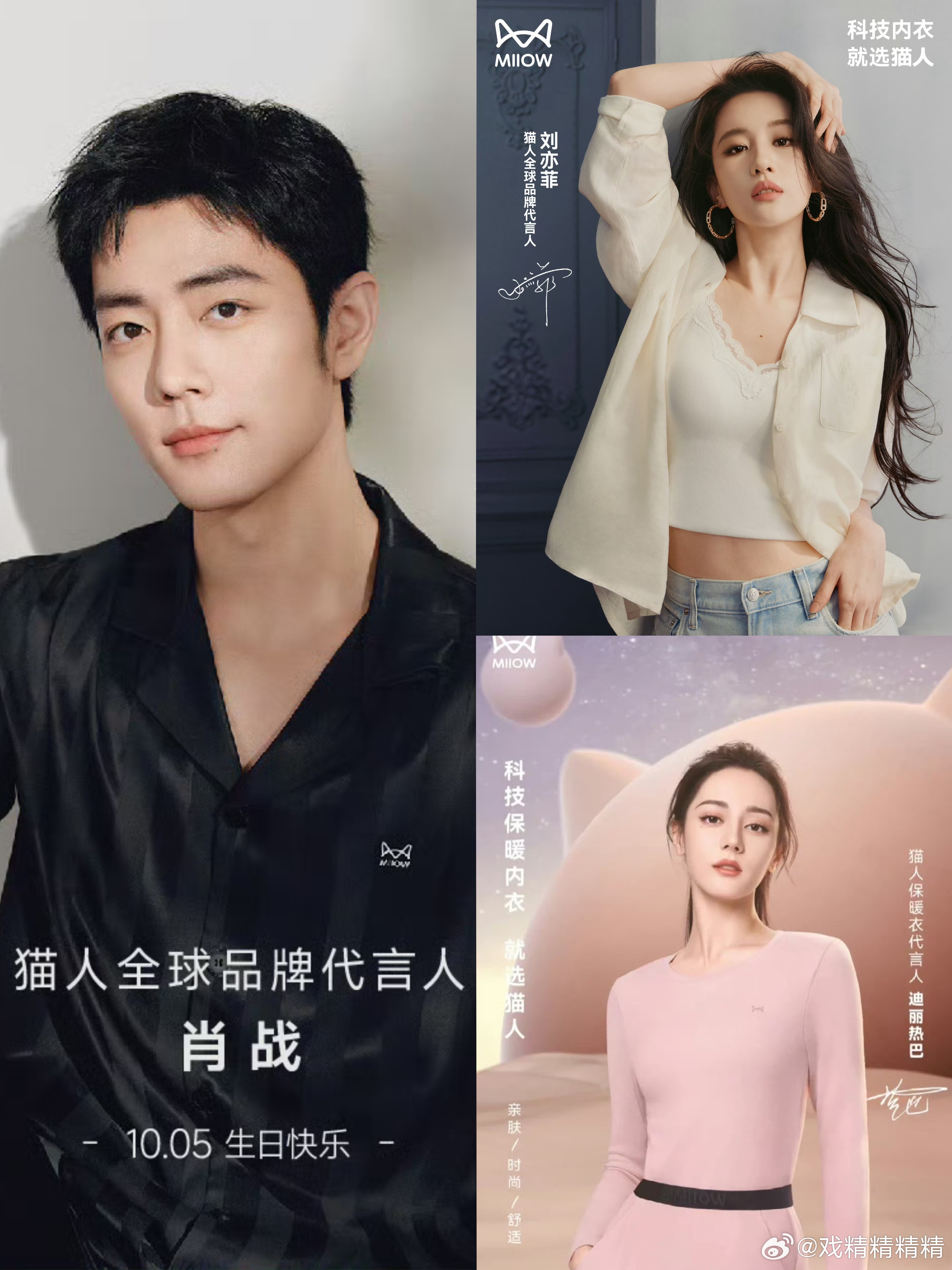同一品牌title，肖战和刘亦菲都是猫人全球代言人，迪丽热巴只是个支线代言，粉丝