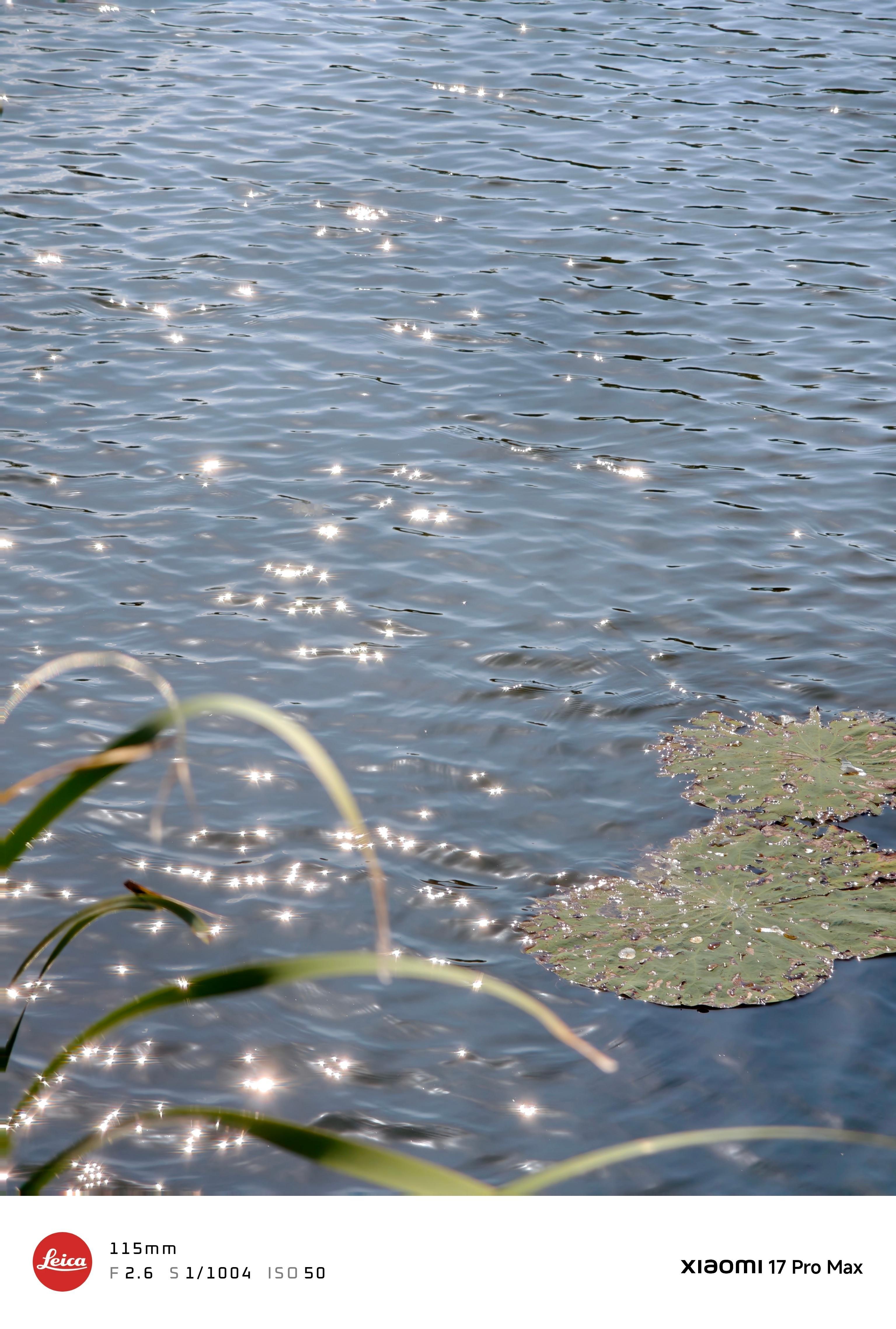 秋日暖阳 岁月静好shot on 小米17pro 「逆光之王」  ​​​