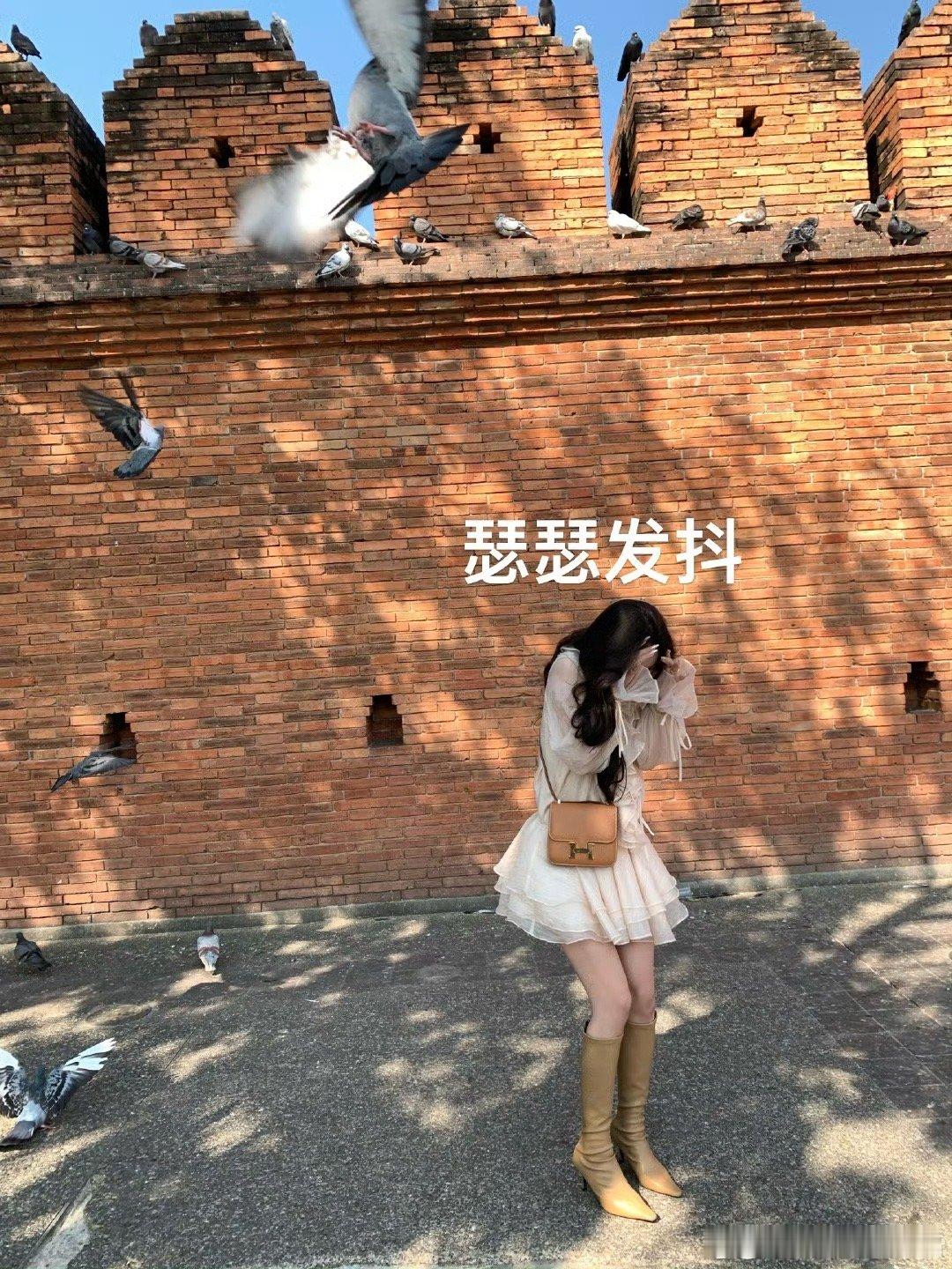 033 一直走的都是血腥路线 