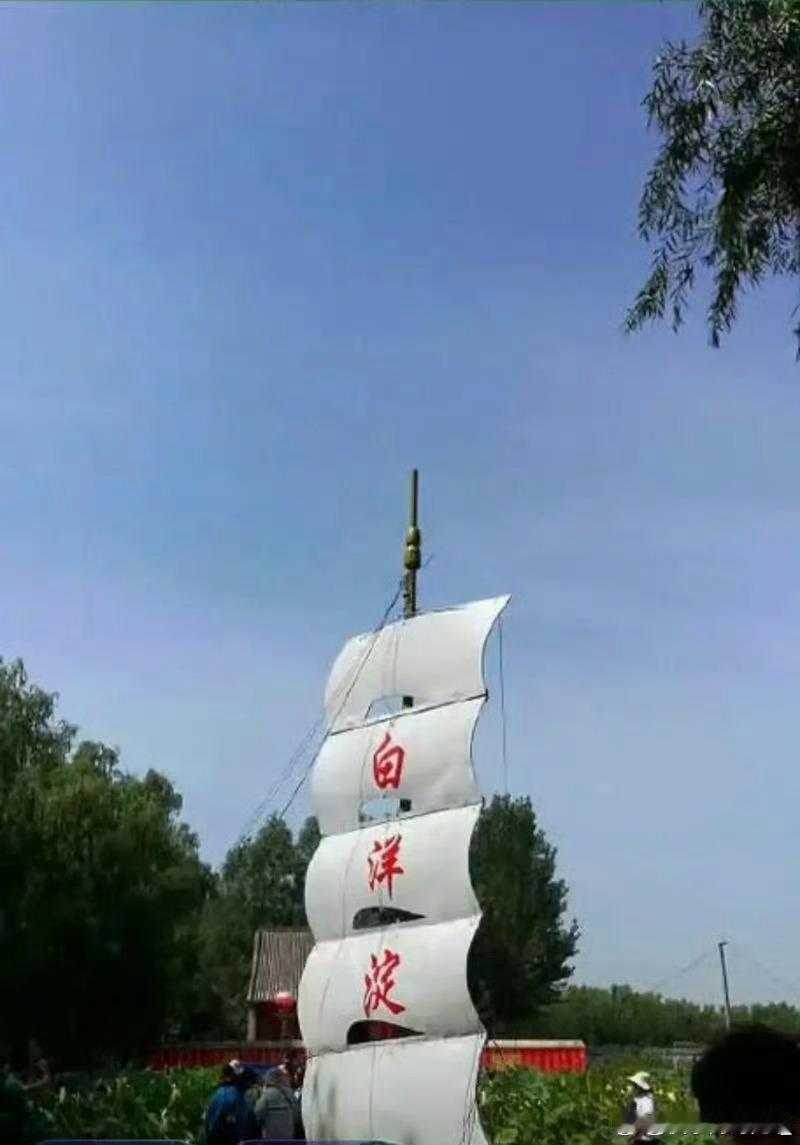 雄安生态向好白洋淀鸟增90种鱼翻倍一辈子一定要去一趟白洋淀生态持续改善，水鸟游鱼