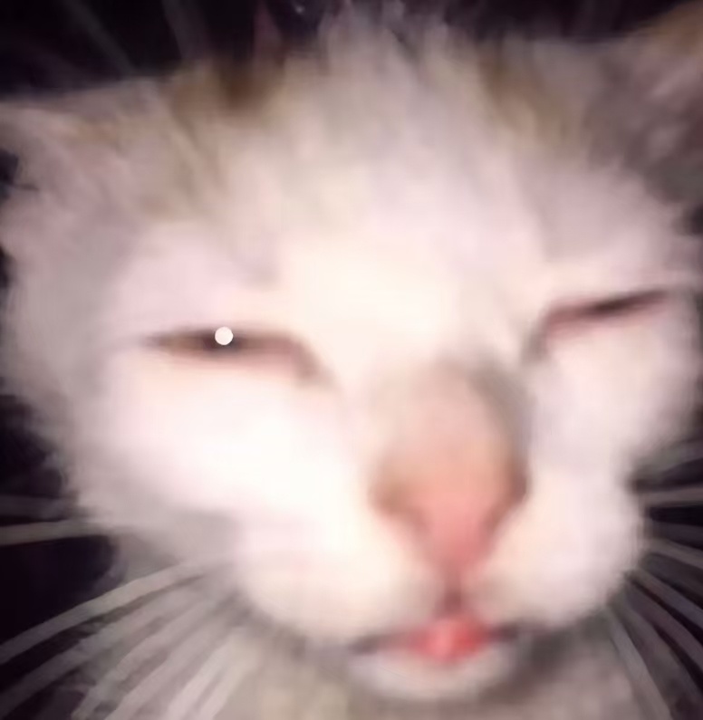 每天一条冷知识  强光过后眼前出现的彩色光斑，是视网膜发出的警告！直视强光会让视