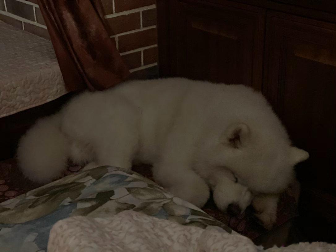 宝贝晚安😘 ​​​