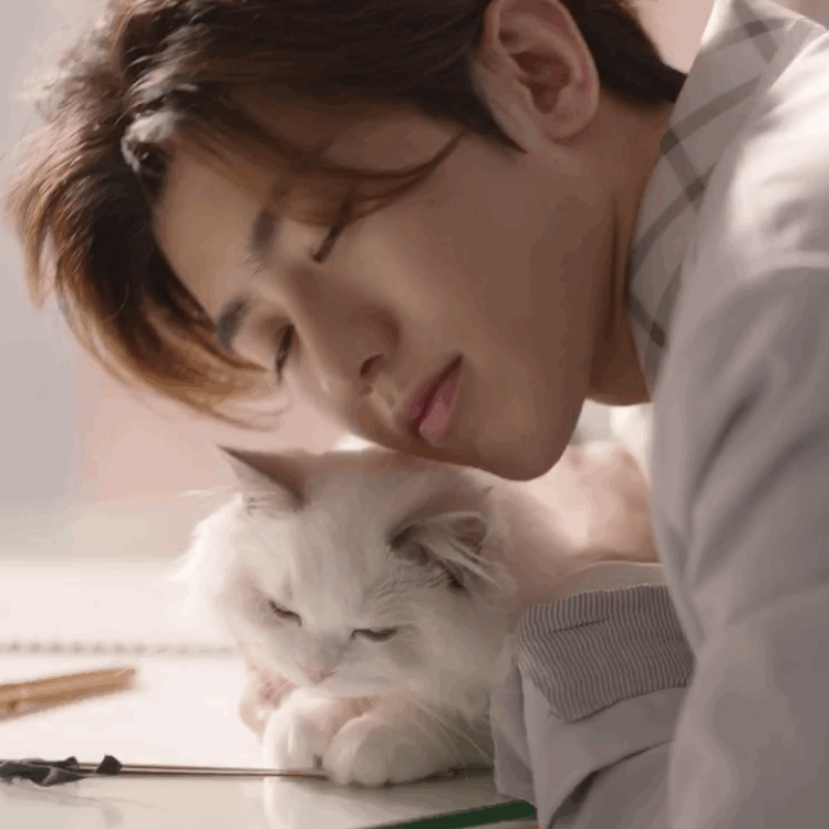 晚安🐱 