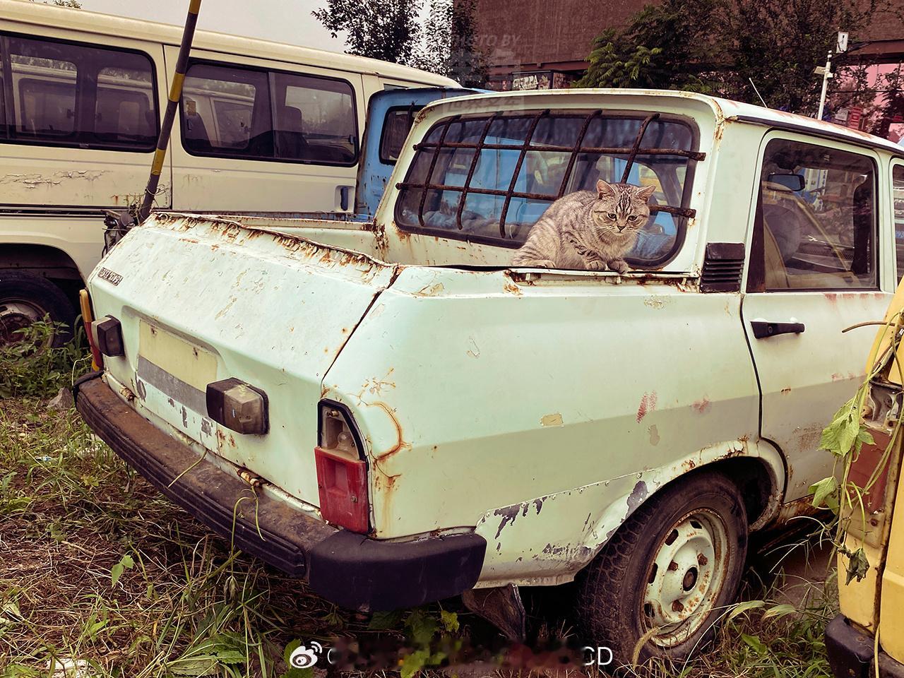 罗马尼亚哈基米了解一下因为当时正在拍这辆产自罗马尼亚的达契亚1309，草丛里钻出