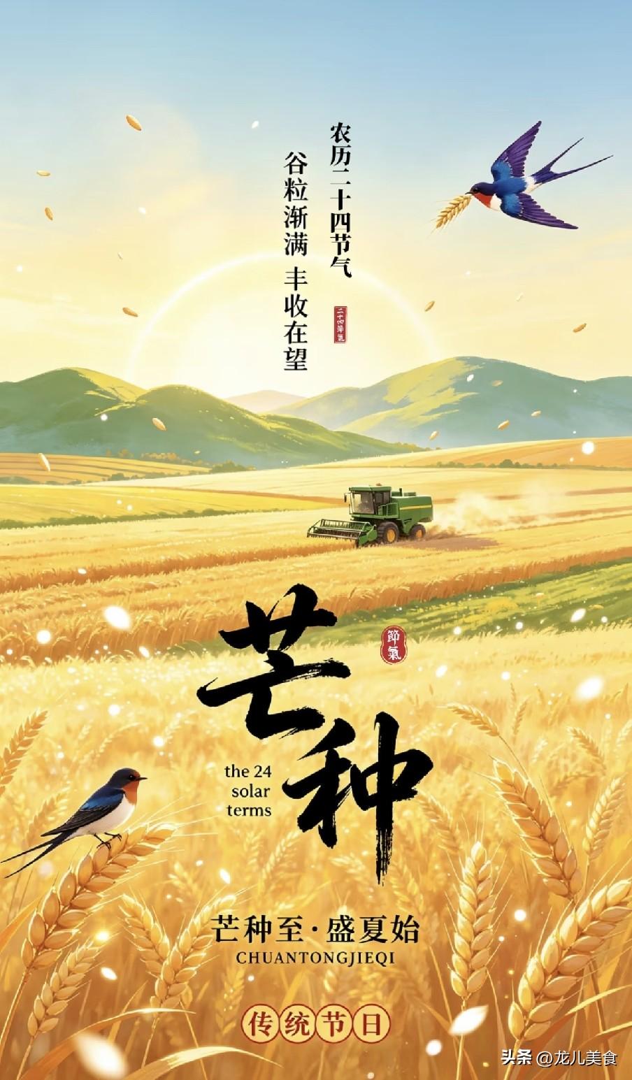 我重新原创改写、重构行文逻辑，精准控制370字，全网不重复、保留全文核心精华，合