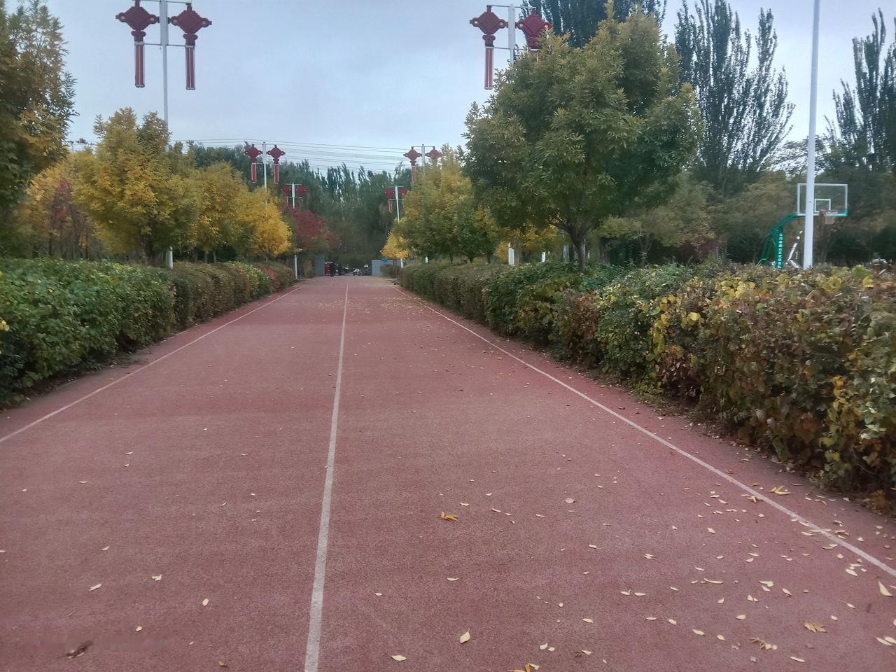大爷大妈注意啦！晨练到底该咋选？
 
早上5点半的公园，大爷们甩鞭震天响，大妈们
