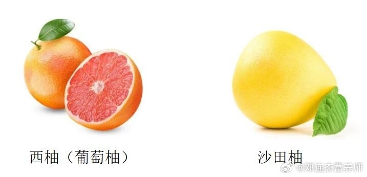 #中医话养生[超话]##健闻登顶计划# 吃这些药不能吃柚子他汀类降脂药物，如辛伐