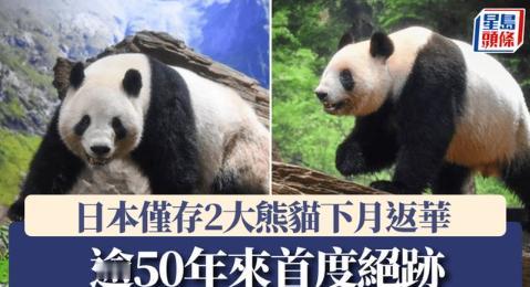 清醒！
中方拒续租熊猫
日本迎来零熊猫时代！


日本最后两只熊猫，
晓晓和蕾蕾