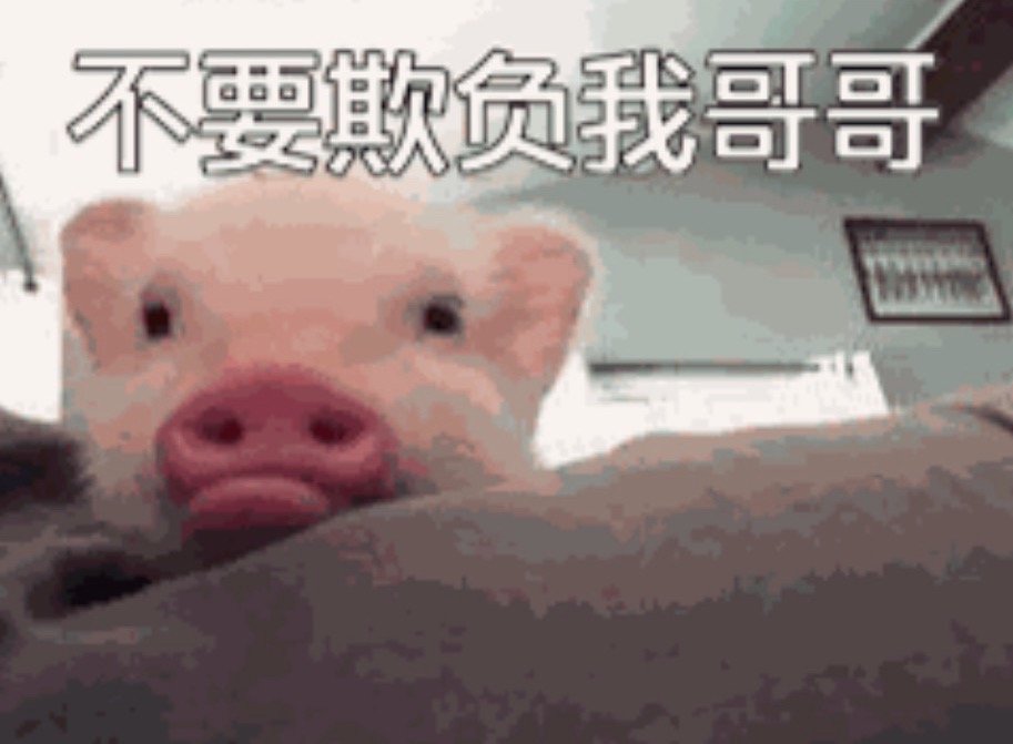 分享图片 