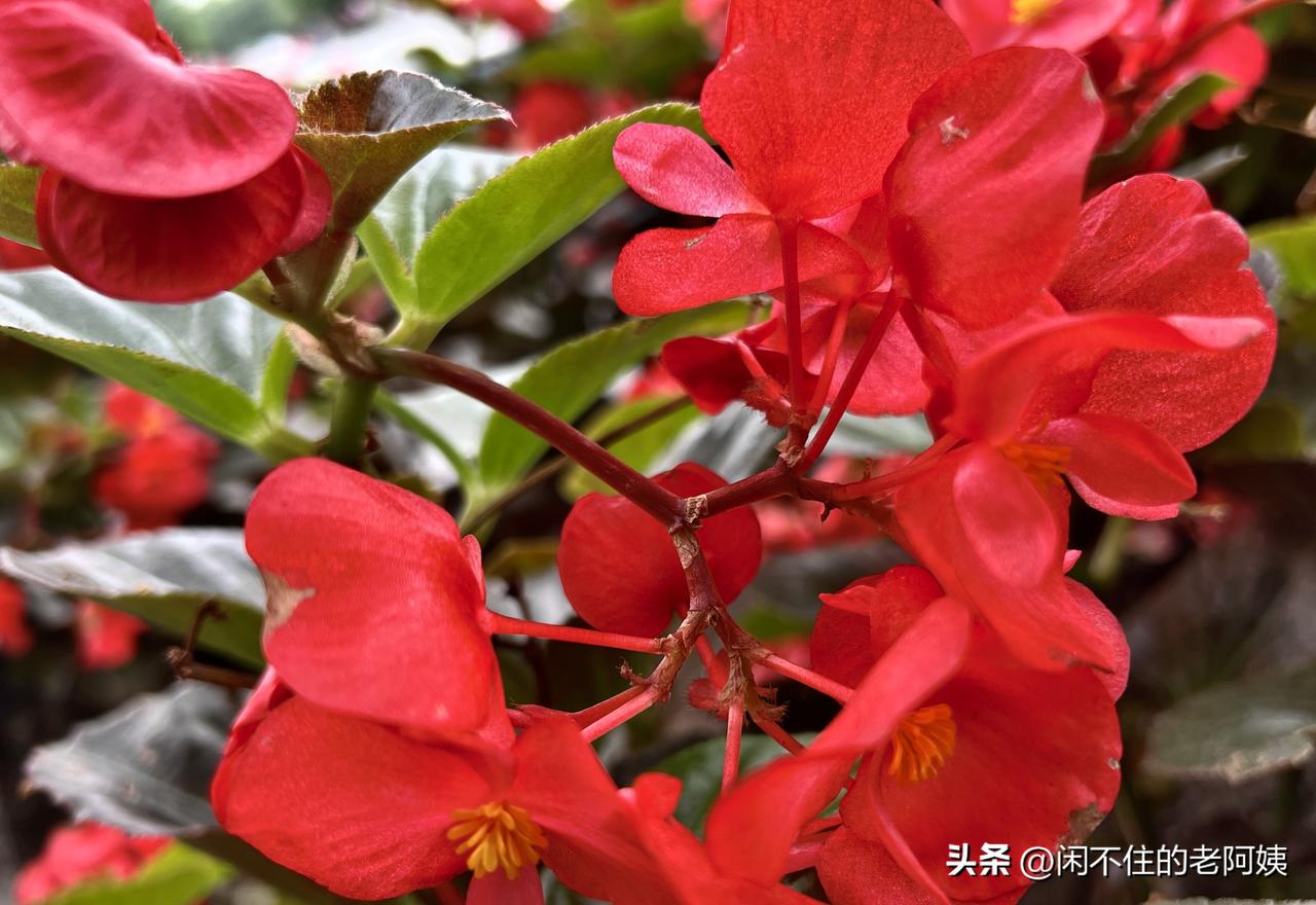 刘晓庆最值得女人佩服的地方，就是心理强大。
古语云“唾沫星子淹死人”。刘晓庆要是