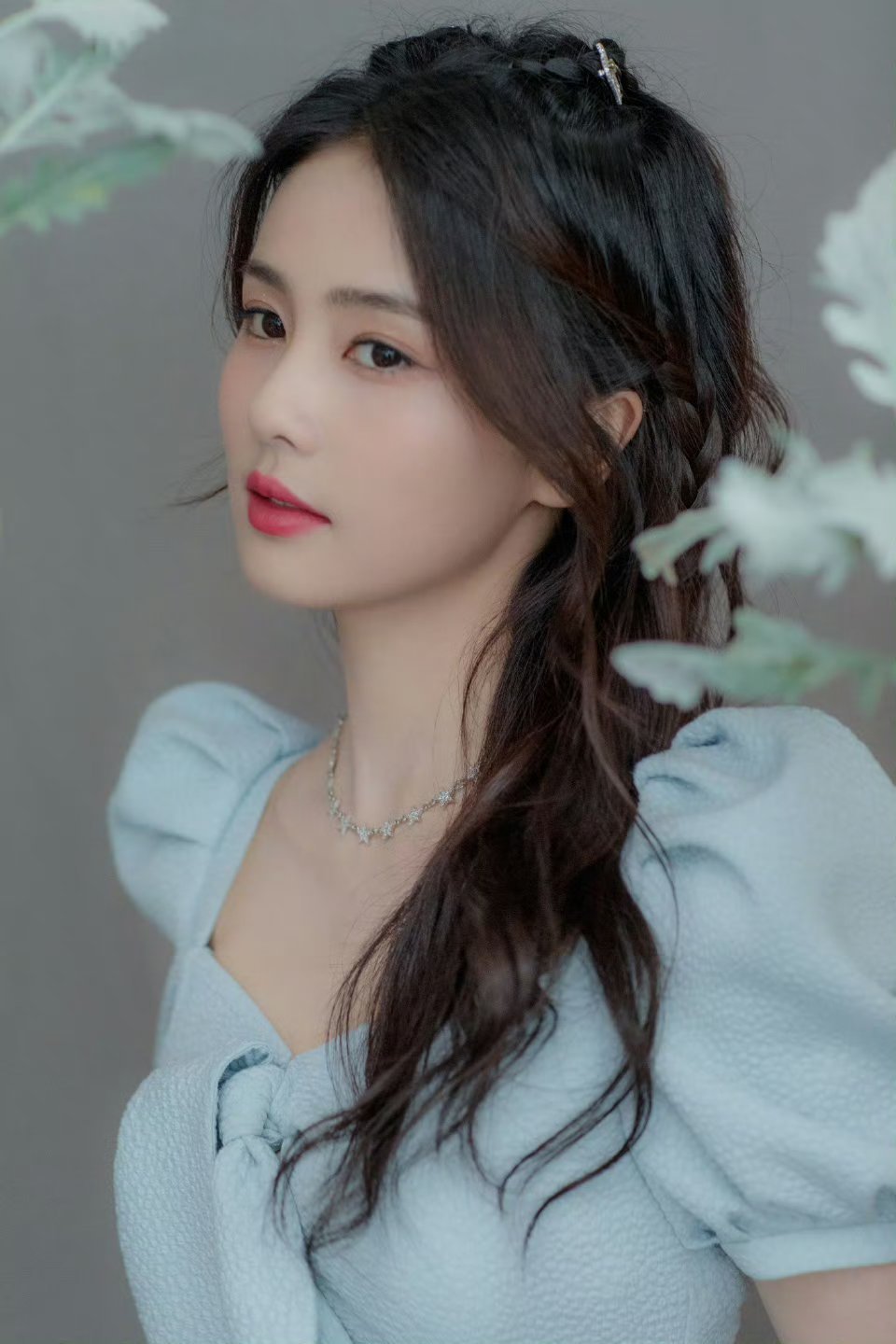 白鹿白鹿明星白鹿