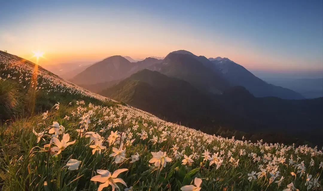 只剩骨架，老人笑了
 
那条18英尺长的鱼被啃得只剩脊骨，老人拖着它回港。岸边人