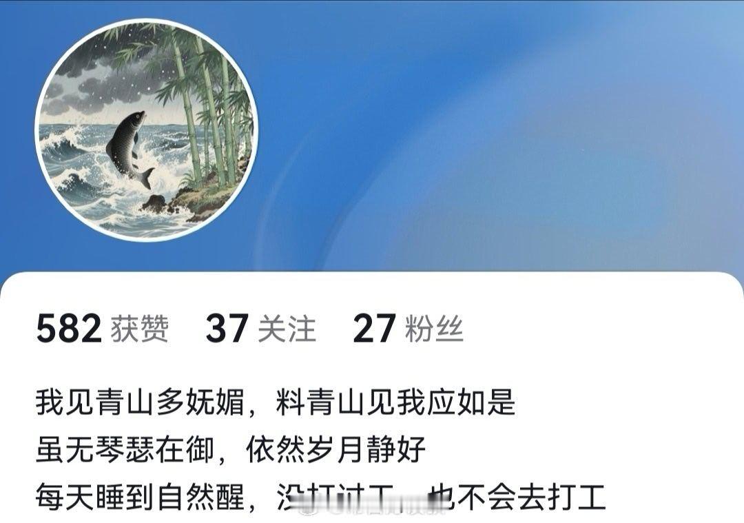 我这个底层牛马最向往的简介：没打过工，也不会打工