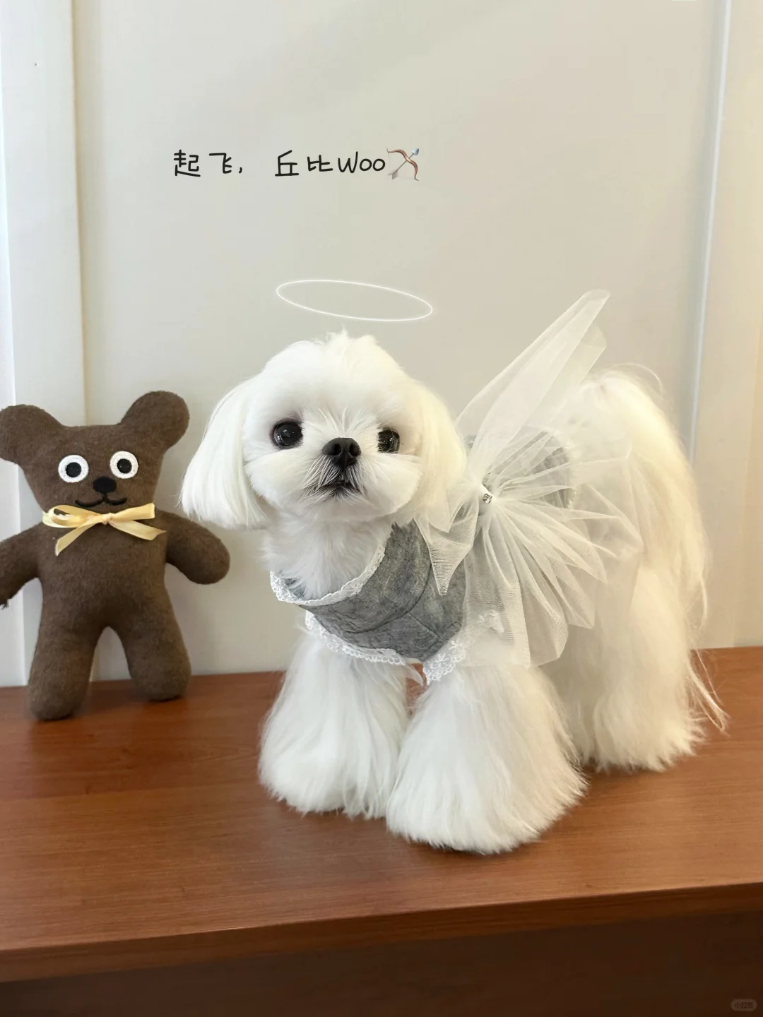 咻咻咻🏹射中你的小心脏💕