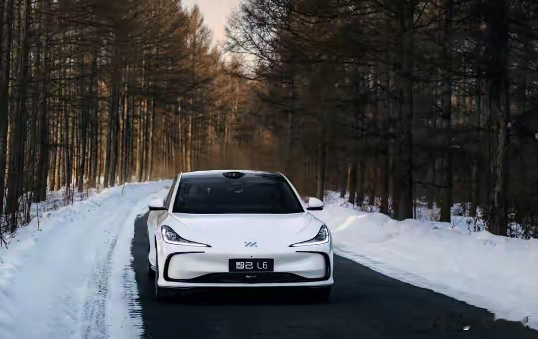 2026年，电车、油车、混动该怎么选？

别再盯着单一属性看了，现在的家庭用车，